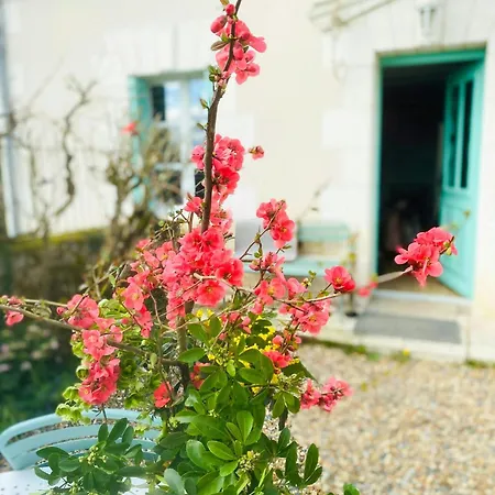 Charming House In The Loire Valley Castles Pardies
