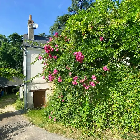 Charming House In The Loire Valley Castles