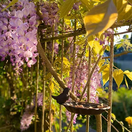 Charming House In The Loire Valley Castles 度假居 Pardies
