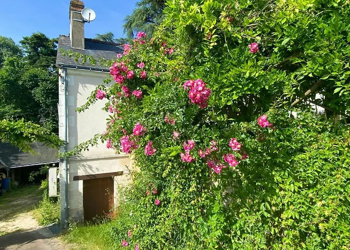 Charming House In The Loire Valley Castles *