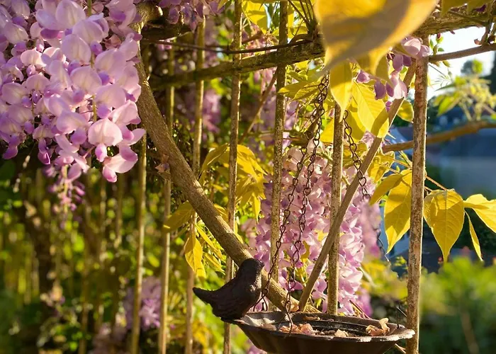 Charming House In The Loire Valley Castles